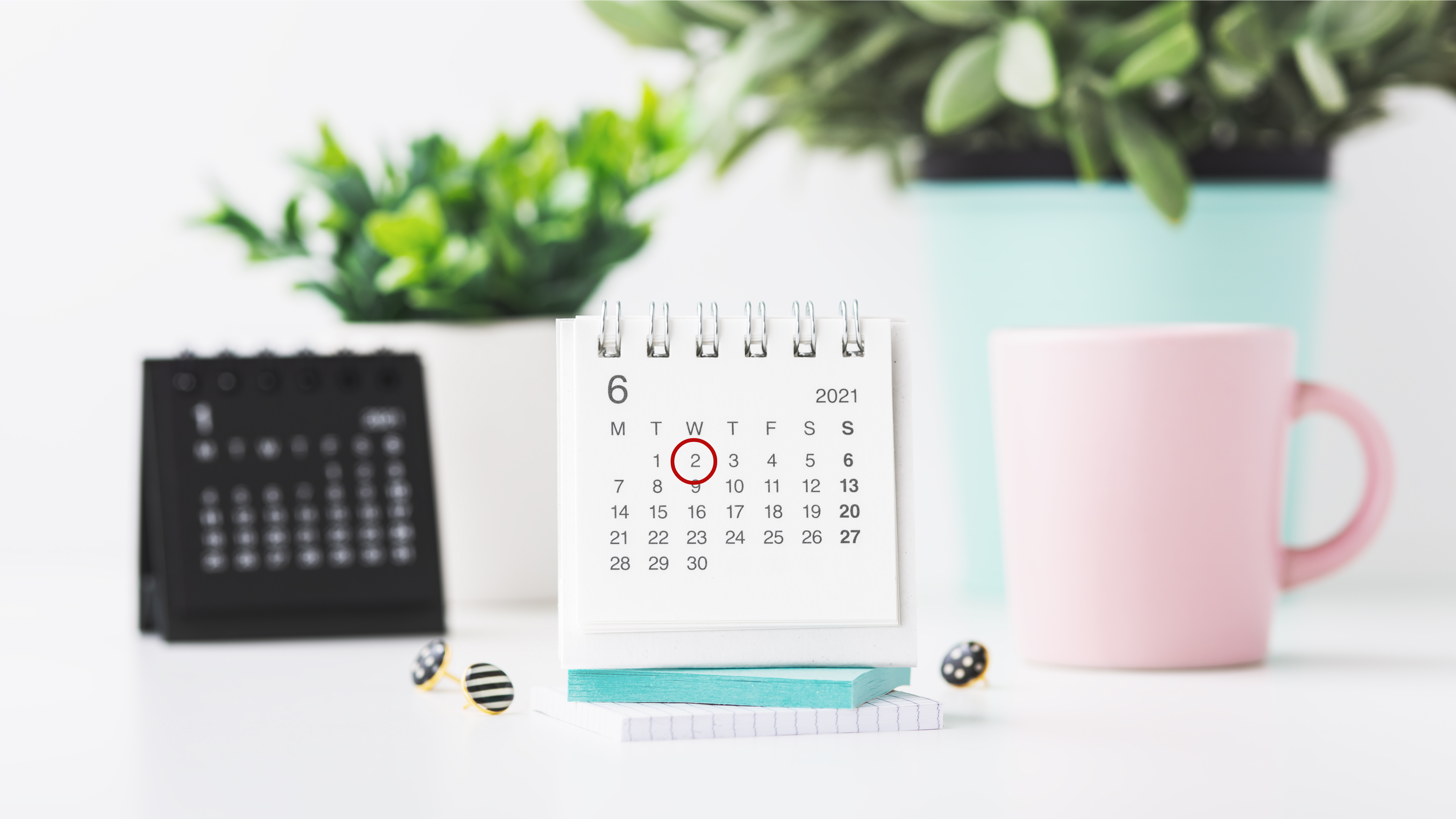 shutterstock_1922638208 (1)
